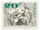 Poland Stamp II on White