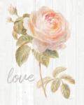 Garden Rose on Wood Love