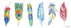 Rainbow Feathers I