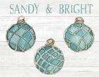 Coastal Holiday Ornament VIII Sandy and Bright