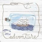 Ship in a Bottle Adventure Shiplap