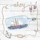 Ship in a Bottle Ahoy Shiplap