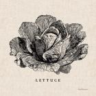 Burlap Vegetable BW Sketch Lettuce