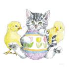 Easter Kitties V