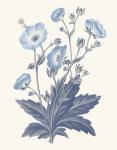 Blue Botanical VI