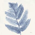 Forest Ferns I Blue