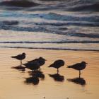 Kalaloch Birds II