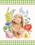 Sunny Bunny I Checker Border