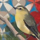 Philadelphia Vireo