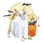 Halloween Pets V