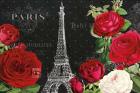 Rouge Paris I Black