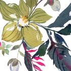 Hellebore Ya Doing I