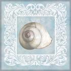Sandy Shells Blue on Blue Snail