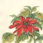 Poinsettia I