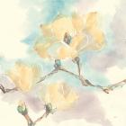 Magnolias in White I