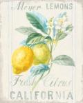 Floursack Lemon II