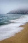 Gray Whale Cove