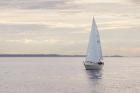 Sailboat in Semiahmoo Bay