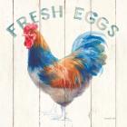 Fresh Eggs Hen