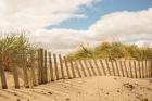 Beach Dunes I