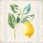 Floursack Lemons I Sq Navy
