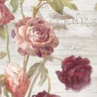 French Roses IV