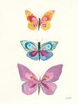 Butterfly Charts III