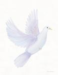 Easter Blessing Dove I