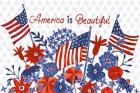 America the Beautiful I