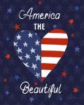 America The Beautiful VI