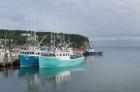 Bay of Fundy I