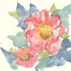 Peony in the Pink II