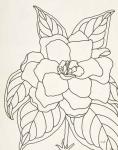 Gardenia Line Drawing Crop