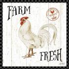 Free Range Fresh III Checker Border