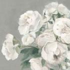 Peonies on Gray