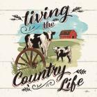 Farm Life II Country