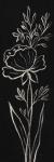 Black Floral III Crop