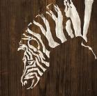 White Zebra on Dark Wood