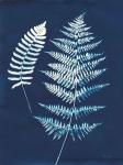 Nature By The Lake - Ferns V