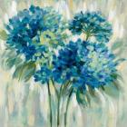 Burst of Hydrangeas