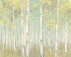 Sylvan Birches