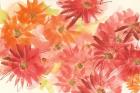 Flowers Afield II