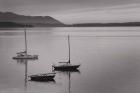 Bellingham Bay BW