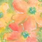 Summer Cosmos II