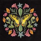 Butterfly Mandala III Black