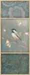 Black Capped Chickadee