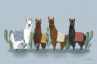 Delightful Alpacas V