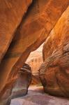 Buckskin Gulch I