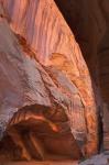 Buckskin Gulch II