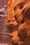 Buckskin Gulch III